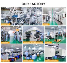 Chiny DONGGUAN SEALAND PACKAGING BAG CO., LTD fabryka