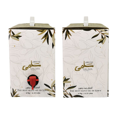 Convenient BIB bags in Box With Spout for Easy Dispensing and Customization